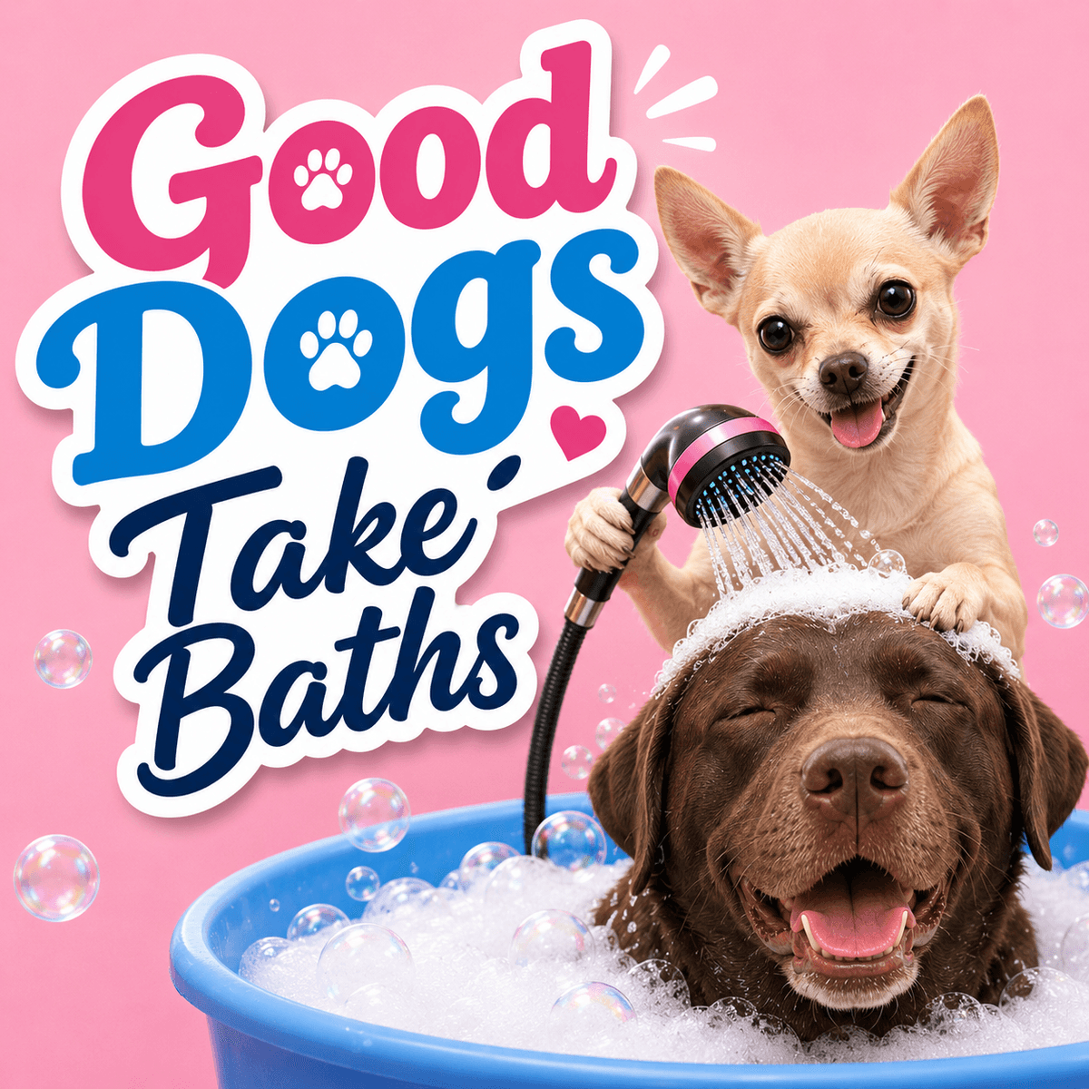 Licky the Chihuahua and Hattie the Chocolate Lab — Good Dogs Take Baths